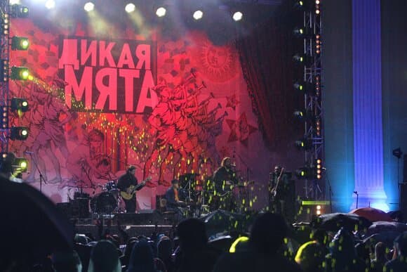 Музыкальный фестиваль «Дикая мята» отменили