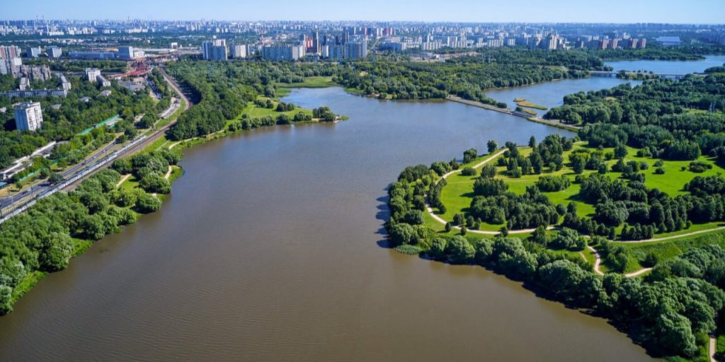 Собянин рассказал о возрождении популяции редких видов животных и птиц в парках Москвы